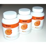 MycoMedica Reishi Ganoderma lucidum Bylinné kapsle 3 x 90 kapslí – Hledejceny.cz