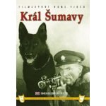 Král Šumavy DVD – Hledejceny.cz