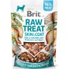 Pamlsek pro psa Brit Raw Treat Skin&Coat Fish&Chicken 40 g