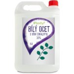 Ecorai Ocet bílý 10 % s vůní eukalyptu 5 l kanystr – HobbyKompas.cz