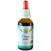 Doplněk stravy Salvia Paradise Chanca piedra tinktura bez alkoholu 50 ml