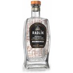 Radlík Bezinkovice 45% 0,5 l (holá láhev) – Zboží Dáma