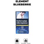 Element Water 25 g Blueberrie – HobbyKompas.cz