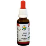Salvia Paradise Hloh obecný AF tinktura 30 ml – Hledejceny.cz