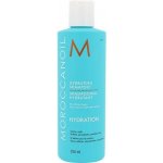 Moroccanoil Hydrating Shampoo 250 ml – Zbozi.Blesk.cz