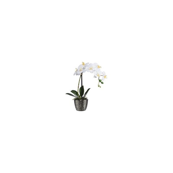Květina Orchidej Phalenopsis 45cm bílá - Gasper