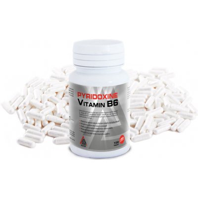 VALKNUT Vitamin B6 Pyridoxine 100+20 tablet – Zboží Mobilmania