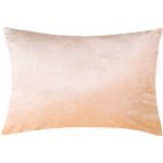 Xpose béžový 50 x 70 cm – Hledejceny.cz