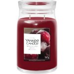 Yankee Candle Signature WOODLAND SPICE 567 g – Hledejceny.cz