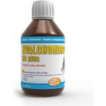 Bioveta Hyalchondro HC Plus 2 x 225 ml – Hledejceny.cz