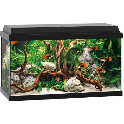 Juwel Primo 60 LED akvarijní set černý 61 x 31 x 37 cm 57 l – Hledejceny.cz