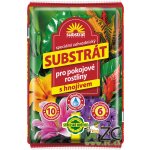 Forestina Substrát pro pokojové rostliny 10 l – Hledejceny.cz