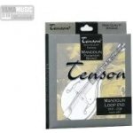 TENSON fosforbronz 010-034 – Zbozi.Blesk.cz