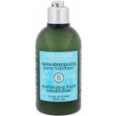 L´Occitane Revitalizing Fresh Conditioner 250 ml