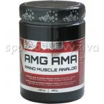 Nutristar AMG AMA 540 tablet – Hledejceny.cz