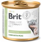 Brit VD Cat GF Diabetes 200 g – Hledejceny.cz