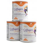 Natures Finest Collagen Joint Care Curcumin with Fortigel 3 x 140 g – Hledejceny.cz