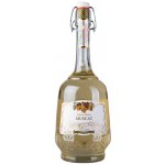 Letto Muscat 12% 1 l (holá láhev) – Hledejceny.cz