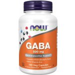 Now Foods Gaba Kyselina Gama Aminomáselná 500 mg 100 veg kapslí – Hledejceny.cz