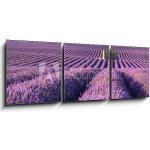 Obraz s hodinami 3D třídílný - 150 x 50 cm - Lavender fields in Plateau de Valensole with a stone house in Summer. Alpes de Haute Provence, PACA Region, France Levandulo – Zbozi.Blesk.cz