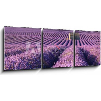 Obraz s hodinami 3D třídílný - 150 x 50 cm - Lavender fields in Plateau de Valensole with a stone house in Summer. Alpes de Haute Provence, PACA Region, France Levandulo – Zbozi.Blesk.cz