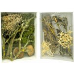 Lucky Reptile Deco Set Mantis – Zboží Dáma