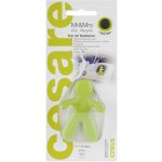 Mr&Mrs Fragrance Cesare Citrus – Zbozi.Blesk.cz