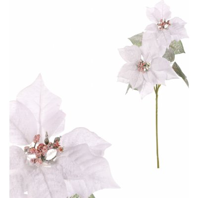 Poinsécie, vánoční růže, barva bílá KUC2601 WT – Zboží Mobilmania
