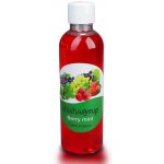 Shishasyrup Melasa Berry Mint 100 ml – Hledejceny.cz
