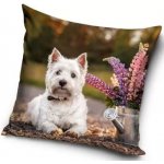 Carbotex Westík West highland white teriér 40 x 40 cm – Sleviste.cz