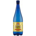 Bílinská kyselka 6 x 1000 ml – Hledejceny.cz