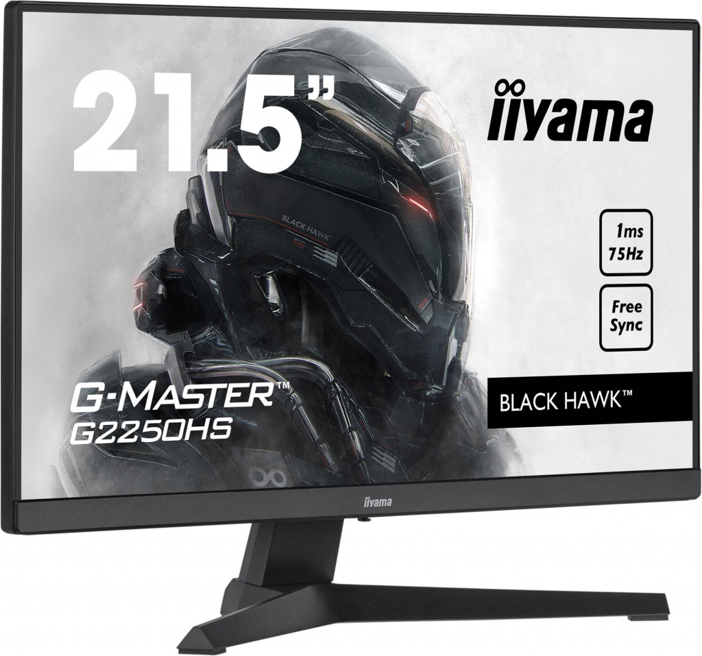 iiyama G-Master G2250HS-B1