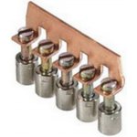 WIELAND Můstek Z7.281.0027.0 70-pólový propojovací Z7.281.0027.0 – HobbyKompas.cz