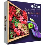 OKTO Passion Výtvarná modelovací sada sukulenty v dřevěném rámu 21x21 cm W034377 – Hledejceny.cz