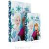 Karton P+P A5 Ledové království Frozen 3-78517