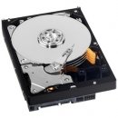 Pevný disk interní WD Greenpower 500GB, WD5000AVDS