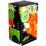 Pauwex Walachian Tea Ovocno bylinné čaje Santée Jahoda Aloe Vera 20 x 2,5 g – Hledejceny.cz