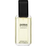 Antonio Puig Quorum Silver toaletní voda pánská 50 ml – Hledejceny.cz