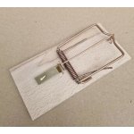 MAT GROUP Past na krysy dřev. – HobbyKompas.cz