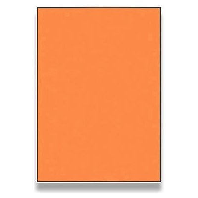Rayfilm R0133 fluo oranžové etikety A4 210x297mm 100 listů – Hledejceny.cz