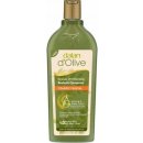Dalan d´Olive šampon s olivovým olejem 400 ml
