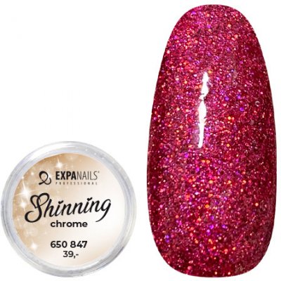 Expa nails třpytky na zdobení nehtů shining chrome glitter 7 2 g – Zboží Mobilmania