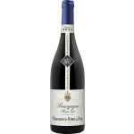 Bouchard Ainé & Fils Bourgogne Pinot Noir AOC 2024 12,5% 0,75 l (holá láhev) – Sleviste.cz