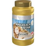 Starlife Angelica Star 60 kapslí – Hledejceny.cz