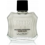 Proraso Coarse Beards After Shave Balm 100 ml – Hledejceny.cz