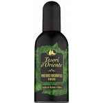 Tesori d'Oriente Sandalo Del Kashmir & Vetiver parfémovaná voda pánská 100 ml – Hledejceny.cz