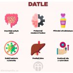 BrainMax Pure Datle Deglet Nour sušené BIO vypeckované 250 g – Zboží Dáma