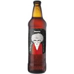 Primátor Tchyně India Pale Lager 4,7% 0,5 l (sklo) – Hledejceny.cz