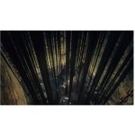 Dark Souls 2: Scholar of the First Sin – Zboží Mobilmania