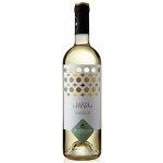 Cantine Due Palme Chardonnay "Santa Caterina" Salento IGP 2024 12% 0,75 l (holá láhev) – Hledejceny.cz